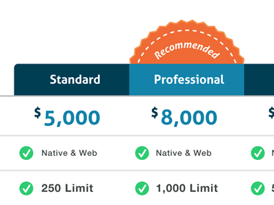 Company Pricing Table - Draft