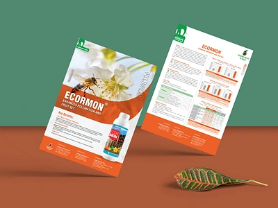 ASOK ECORMON Product Flyer Design branding branding design flyer design graphicdesign print design vector