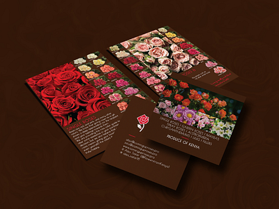 Coming Up Roses Catalogue Design
