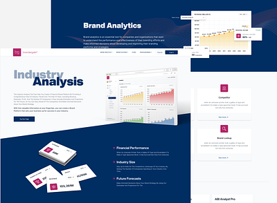 Brand Analytics branding design ui ux web
