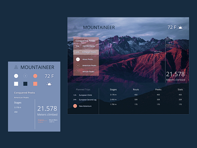 MOUNTAINEER App app design mountain mountaineer typography ui ux weather weather app website