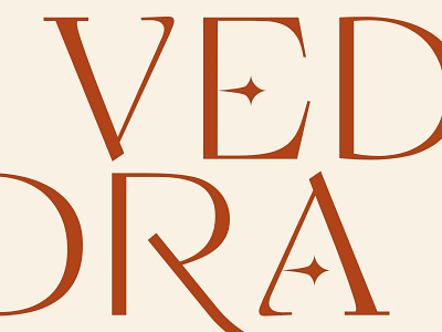 Vedra Branding brand branding design graphic design logo logo design