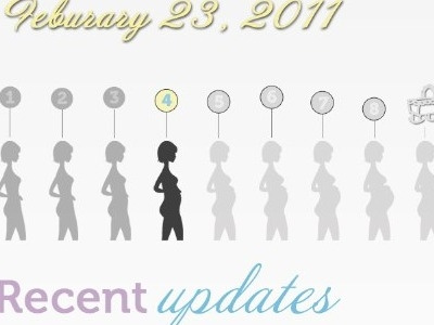 Preggo Bar 1.1 baby blogs infographic personal pregnant progress bar website