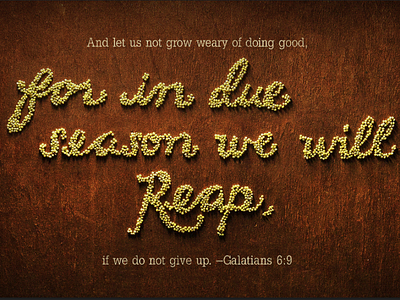 Verse of the Day: Galatians 6:9