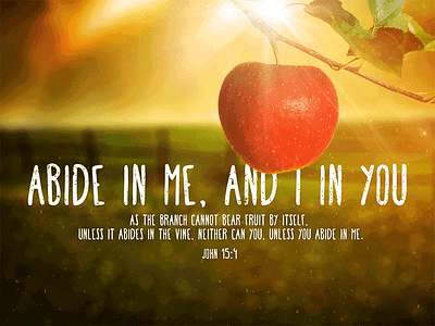 John 15:4 apple bible light logos bible software photo photoshop rays scripture sunlight tree typography