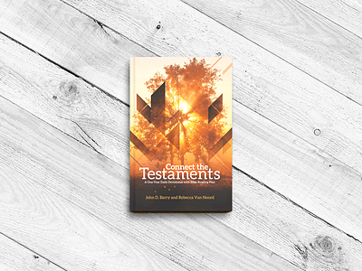 Connect The Testaments abstract bible book cover illustration light logos bible software print scripture shapes simple trees