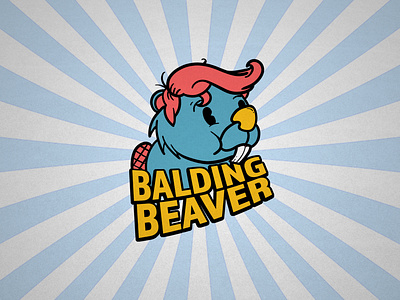 Balding Beaver Color