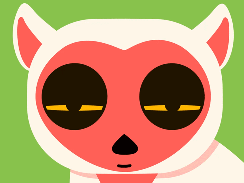 Lemure's Love animals animated animation gif illustration illustrator lemure vector