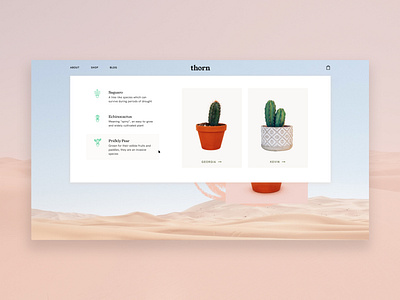 thorn | 01 cactus cactus icons dropdown ecommerce homepage icons nature nav navigation navigation menu plant plants ui ui ux uidesign web design website