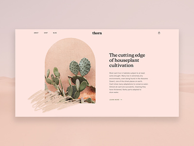 thorn | 02 cactus ecommerce homepage nature outdoor plants shopping type typography ui ui design web design website