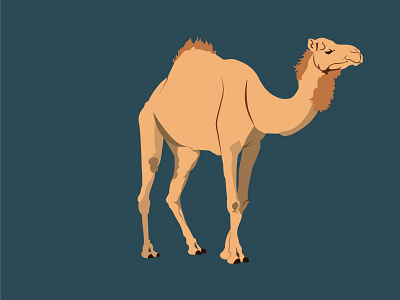 Camelo Camel thumb