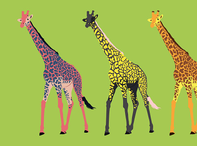 Girafa Giraffe