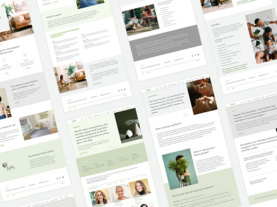 Saltie website design designer designers graphic designer website website design website designer