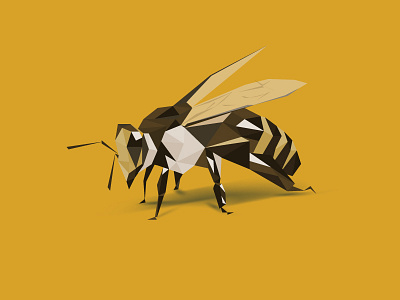 Bee illustration polygon stylization