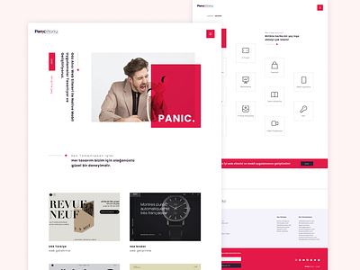 PanicWorkz Digital Agency Website Design agency hero header hero image landing page panic ui web design website