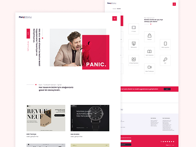 PanicWorkz Digital Agency Website Design