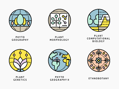 Botany sciences botany icon iconography icons identity science