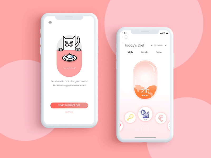 pet feeding app animation app feeding illustration pet ui