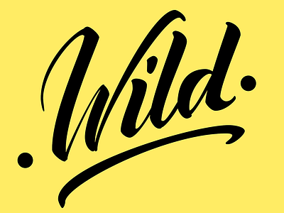 Wild hand lettering lettering vector