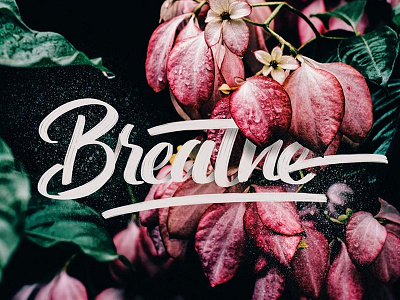 Breathe brush lettering hand lettering ipad lettering lettering