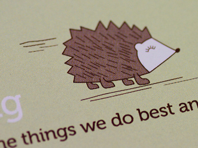 Hedgehog illustration character design illustration