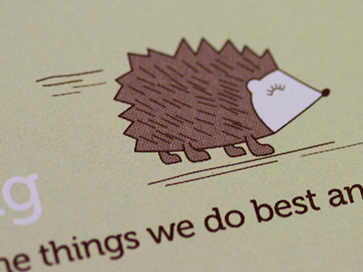 Hedgehog illustration