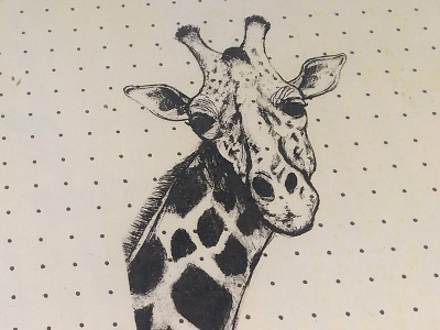 Giraffe animal art black drawing giraffe ink print preparation screen print screenprint sketch