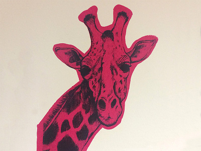 Giraffe | Pink animal art black drawing giraffe ink pink print screen print screenprint sketch