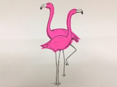 Flamingos | Screen Print art bird black drawing flamingo ink pink print screen print screenprint sketch