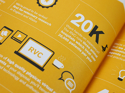 RVC | advert and icons advert advertising animals black colours education icons prospectus yellow