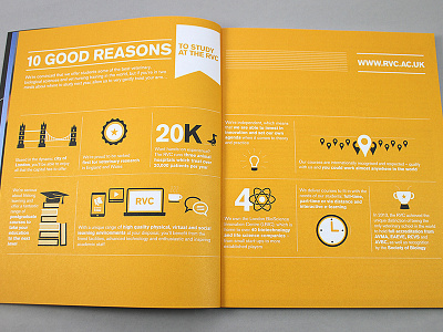 RVC | advert and icons advert advertising colours education icons prospectus university yellow
