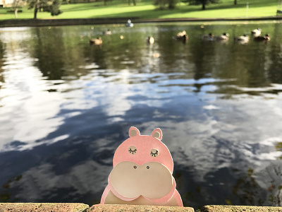 Paper Hippo Outdoors