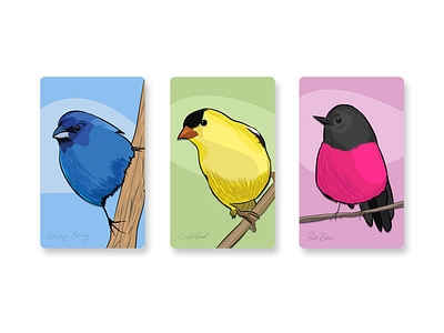 Bird Trio bird bird illustration birds colors design drawing graphic design graphics illustration illustration art illustrator vector