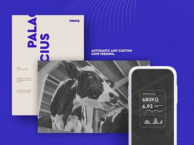 Palacius - Branding for an Iot Project