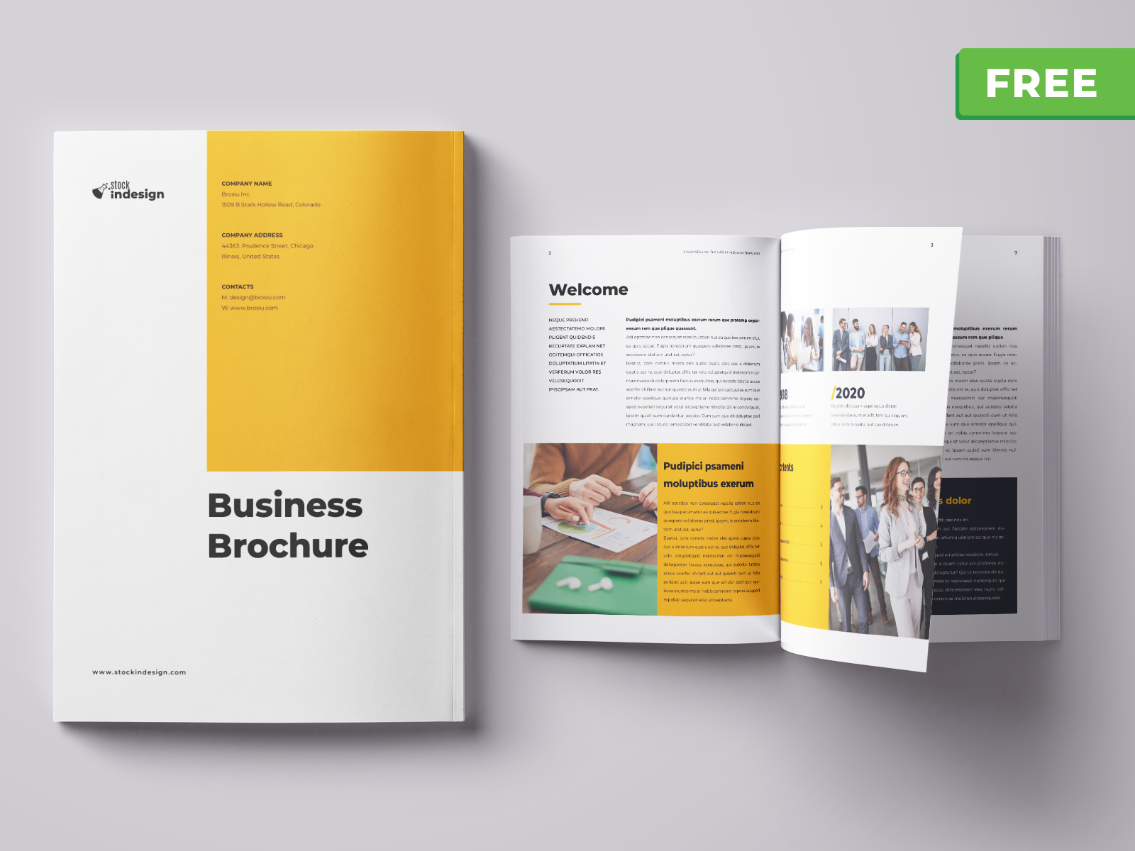 Free Brochure Template by StockInDesign on Dribbble