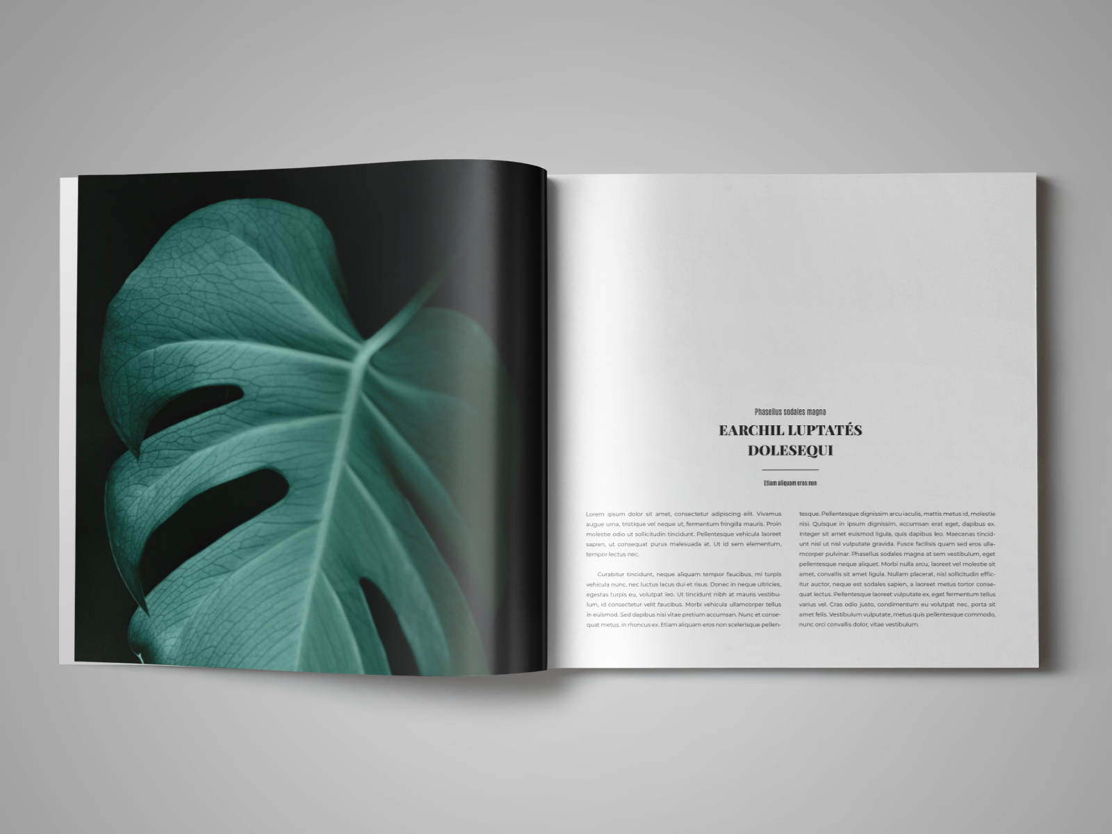 Coffee Table Book Template - StockInDesign