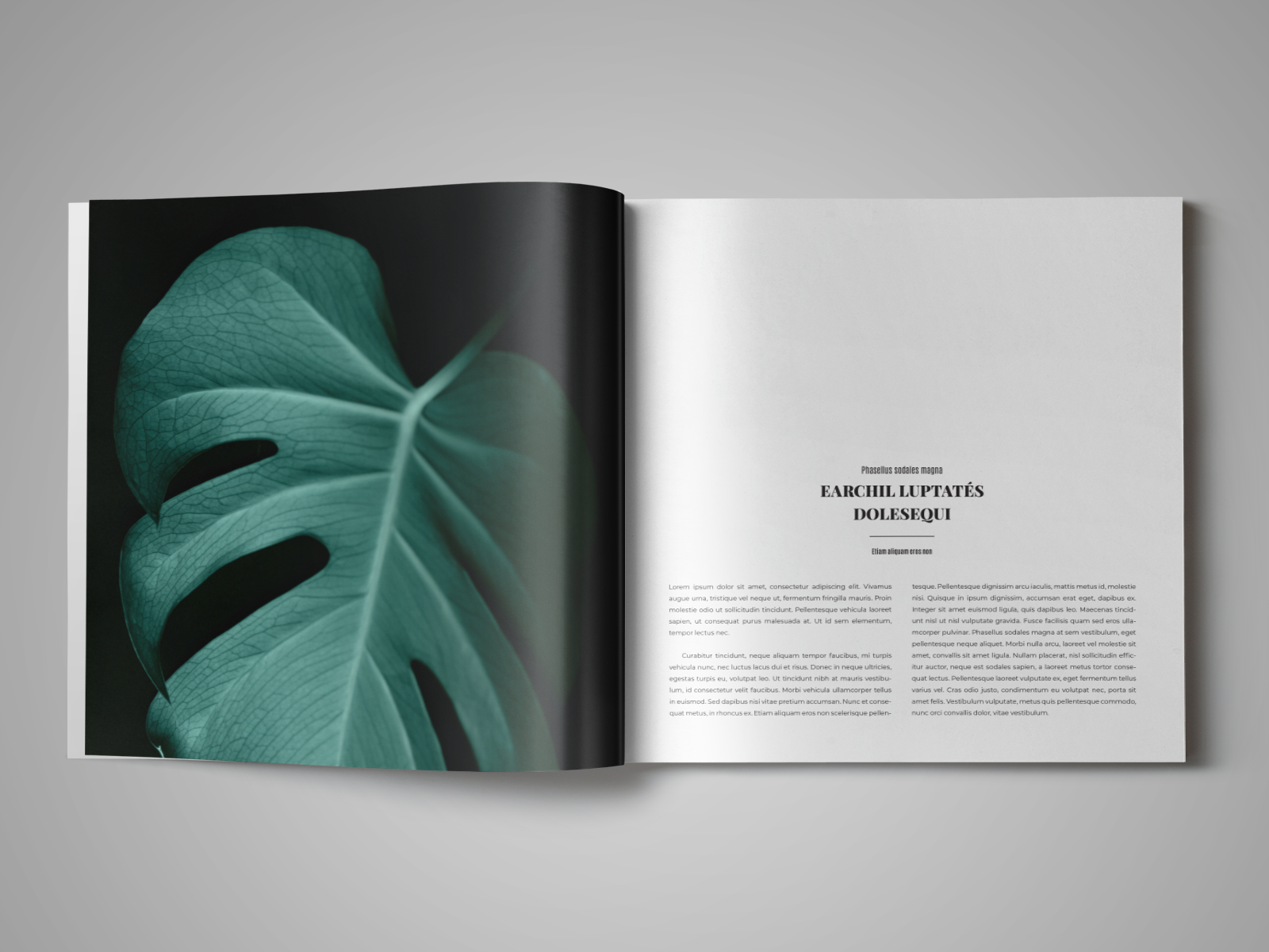 Coffee Table Book Template for InDesign - StockInDesign