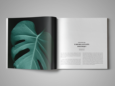Coffee Table Book Template for InDesign book template coffee table book indesign template