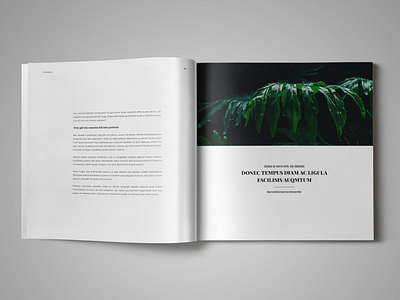 Coffee Table Book Template for InDesign