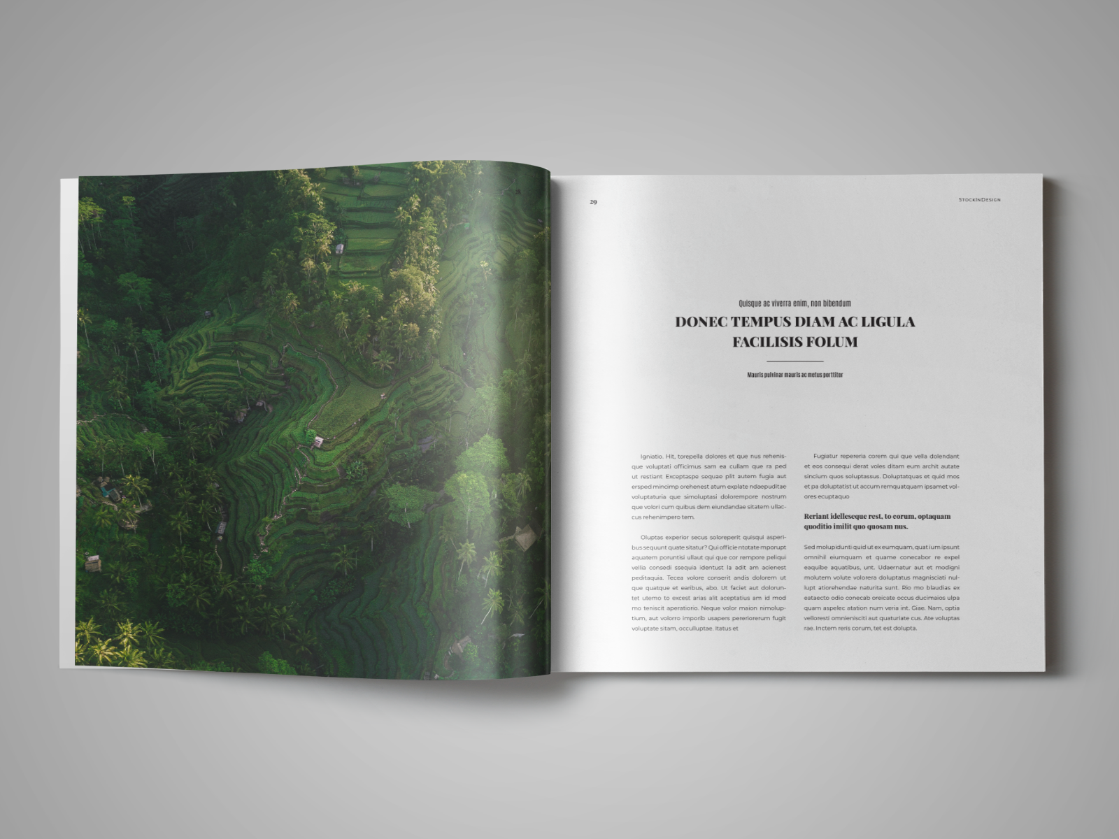 Coffee Table Book Template for InDesign by StockInDesign on Dribbble