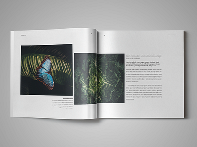 Coffee Table Book Template for InDesign