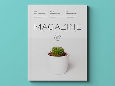 Multipurpose Magazine Template indesign template magazine magazine cover magazine design