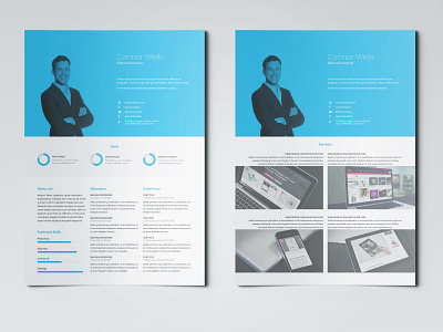 Professional Resume Template adobe indesign indesign template resume design resume template