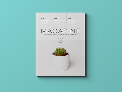Multipurpose Magazine Template adobe indesign indesign template magazine cover magazine design magazine template