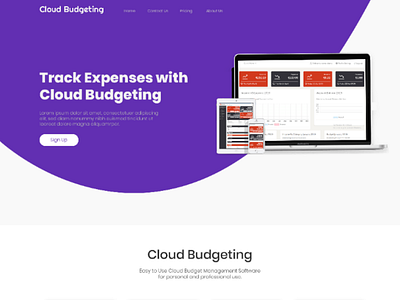 Business website for Budget Tracker software. budget business cloud expenses purple software tracker website