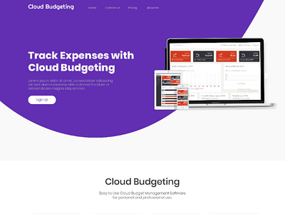 Business website for Budget Tracker software.