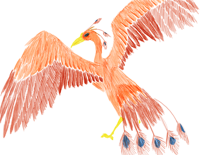 Beautiful Bird animals illustrated bird illustration raster