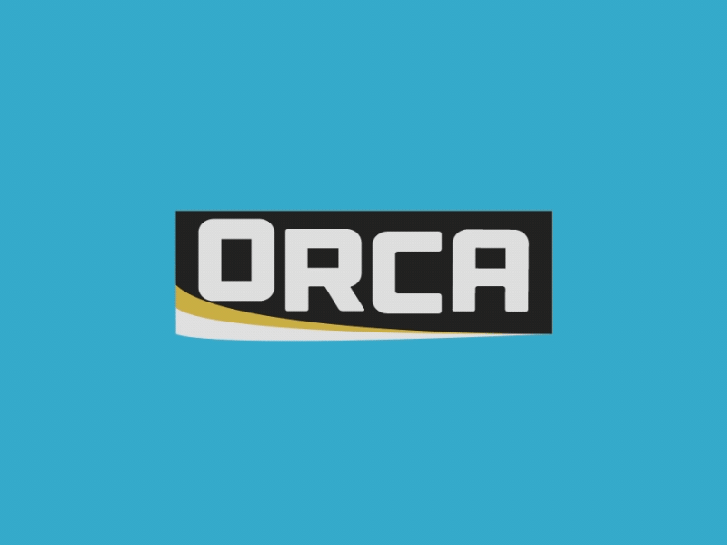 Orca 2d animation animation branding design flat icon motion motion design motion graphic motion graphics motiongraphics orca type typographic typography
