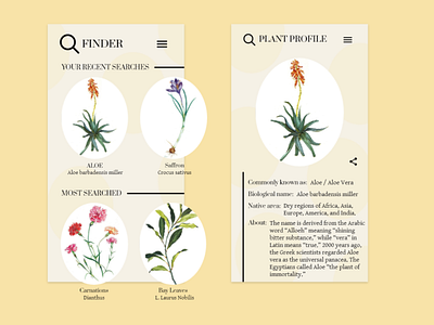 Finder | Plant search and info design biology calm design greenery illustrations mobile app design plants tan