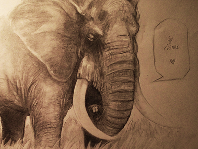 Je t'aime elephant quickie sketch